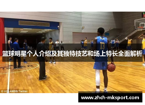 篮球明星个人介绍及其独特技艺和场上特长全面解析