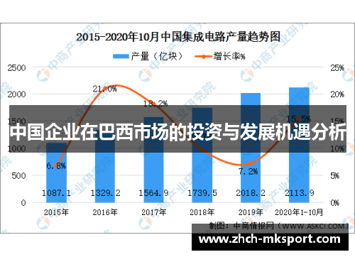 中国企业在巴西市场的投资与发展机遇分析